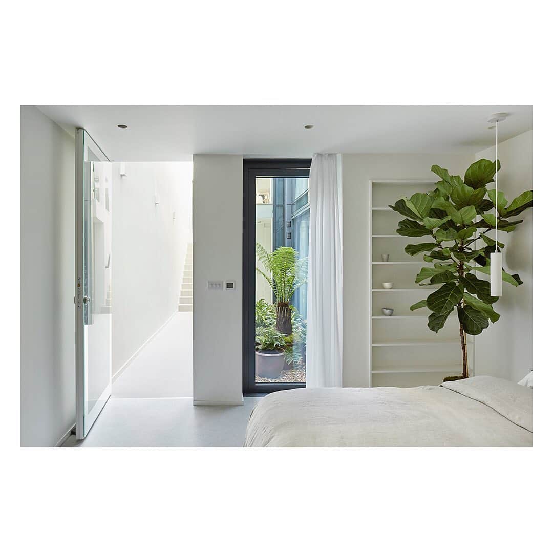 The Modern Houseさんのインスタグラム写真 - (The Modern HouseInstagram)「Heart of Glass: a secluded mews in Fulham with a light-filled central courtyard. See more of the space in our stories.」3月19日 18時24分 - themodernhouse