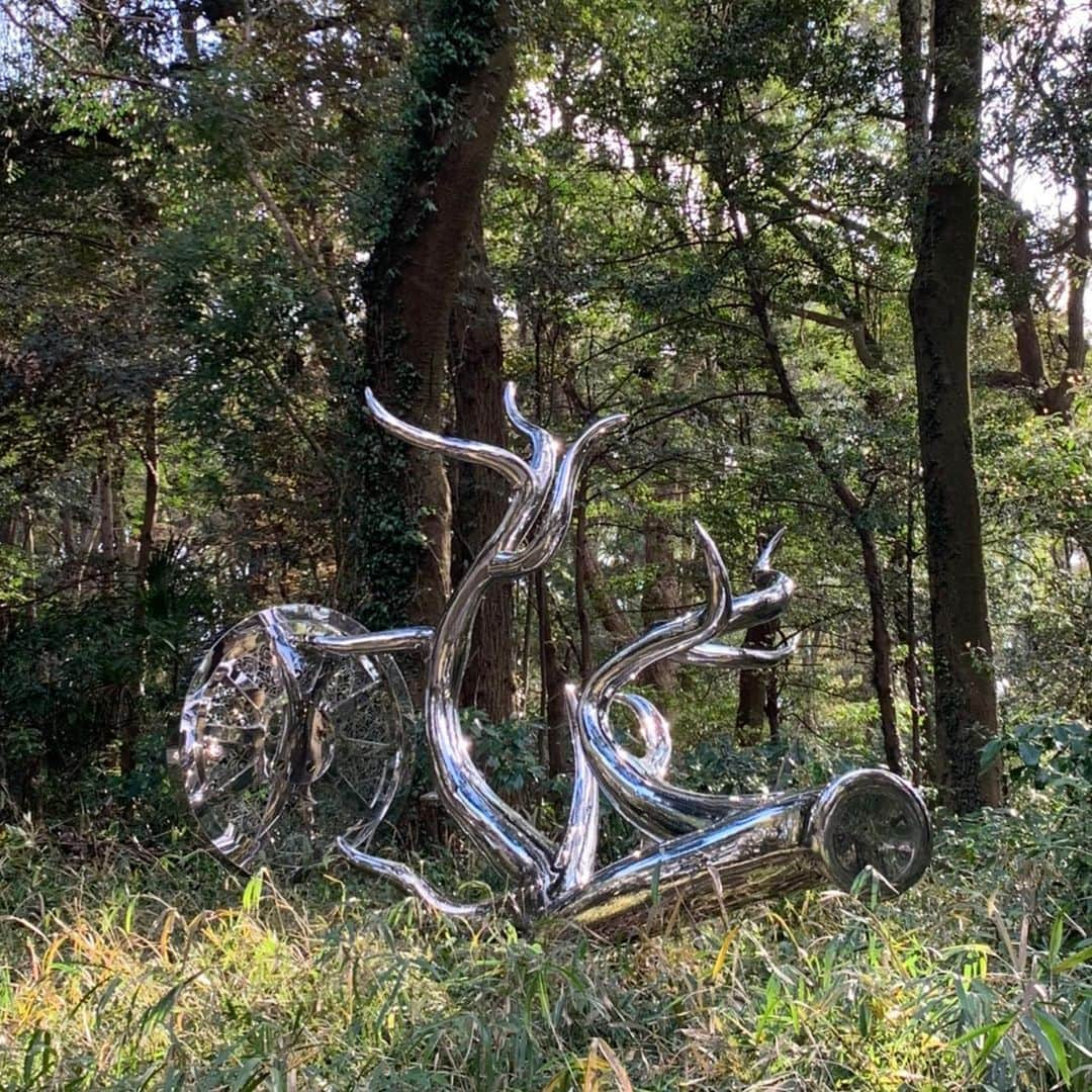 松山智一さんのインスタグラム写真 - (松山智一Instagram)「I am extremely delighted to announce my new steel sculptural work will be exhibited until end of 2020 to celebrate 100th yr anniversary of Meiji Shrine, a Shinto Shrine which is dedicated to the deified Spirit of Emperor Meiji and his wife, in Harajuku, Tokyo.  明治神宮　創建100周年を記念して参道付近にモニュメント彫刻を展示する運びになりました。この状況によりレセプションなどは延期となりますが、展示は本日から年内いっぱい。よければ是非！#明治神宮鎮座百年　#神宮の杜芸術祝祭」3月19日 18時39分 - tomokazumatsuyama