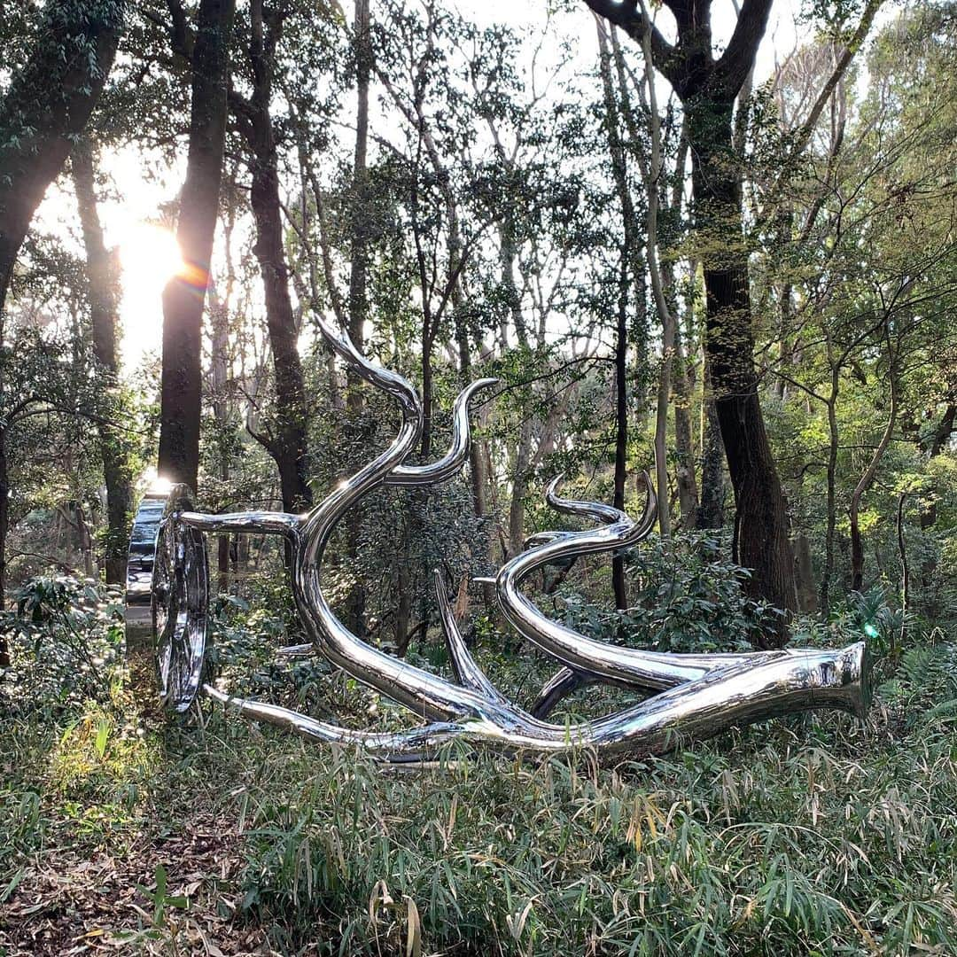 松山智一さんのインスタグラム写真 - (松山智一Instagram)「I am extremely delighted to announce my new steel sculptural work will be exhibited until end of 2020 to celebrate 100th yr anniversary of Meiji Shrine, a Shinto Shrine which is dedicated to the deified Spirit of Emperor Meiji and his wife, in Harajuku, Tokyo.  明治神宮　創建100周年を記念して参道付近にモニュメント彫刻を展示する運びになりました。この状況によりレセプションなどは延期となりますが、展示は本日から年内いっぱい。よければ是非！#明治神宮鎮座百年　#神宮の杜芸術祝祭」3月19日 18時39分 - tomokazumatsuyama