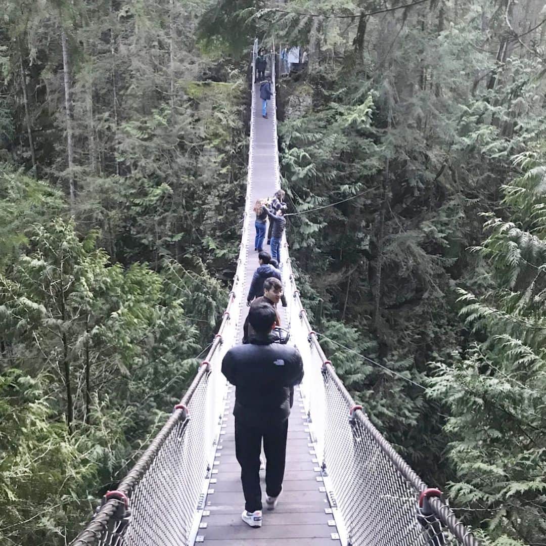 keikobun34さんのインスタグラム写真 - (keikobun34Instagram)「・ ・ ▬ Lynn Canyon Park ▬  リンキャニオンパークはダウンタウンから 車で1時間あれば到着する、 気軽に行けるハイキングコースとして 人気のスポット。 吊り橋で有名なキャピラノより、 人が少なく無料で吊り橋を 渡ることが出来きるのでおすすめ☆ 森林と滝、川、自然が満喫できます!! ・ #lynncanyon#lynncanyonpark  #リンキャニオン#リンキャニオンパーク  #吊り橋 #カナダ#canada #バンクーバー#vancouver #バン旅 #バンクーバー観光 #アラフォー#アラフィフ #アラフォーライフ#アラフィフライフ」3月19日 18時49分 - keikobun34