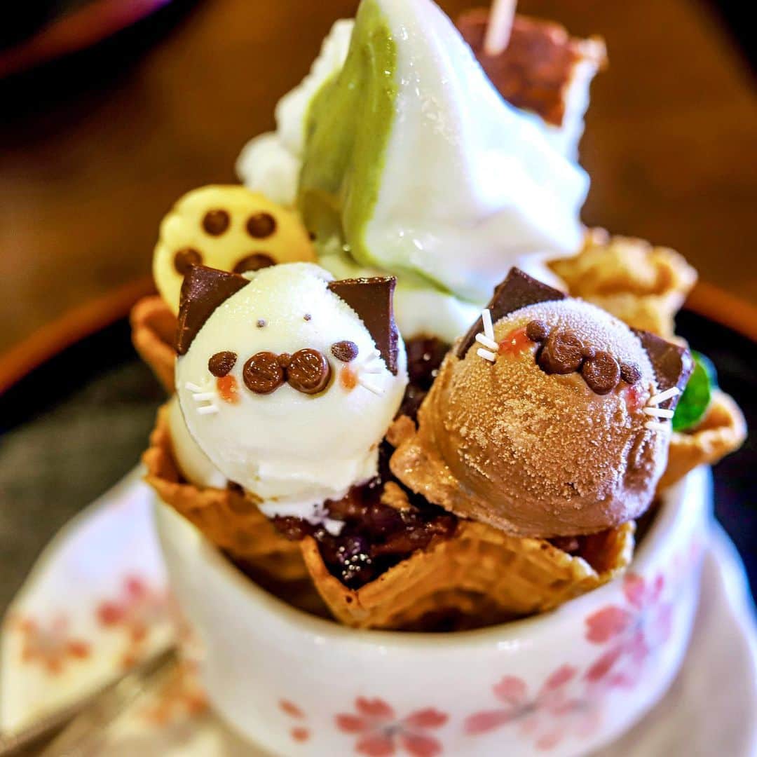 きょん。のグルメインスタ