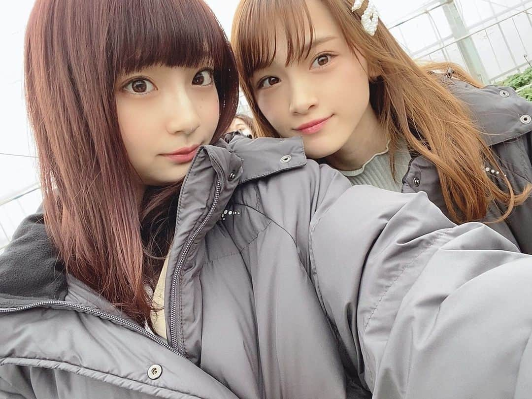 太野彩香さんのインスタグラム写真 - (太野彩香Instagram)「アイドルとイチゴ」3月19日 19時32分 - tanoayaka2