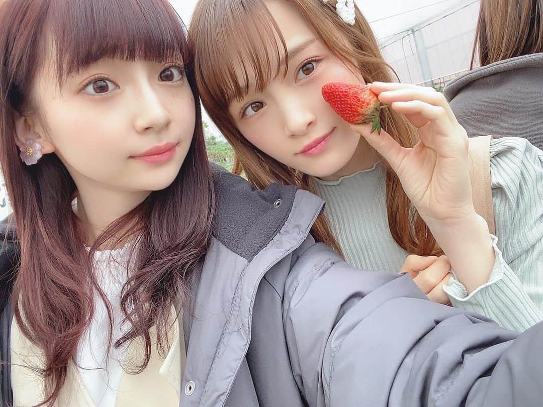 太野彩香さんのインスタグラム写真 - (太野彩香Instagram)「アイドルとイチゴ」3月19日 19時32分 - tanoayaka2