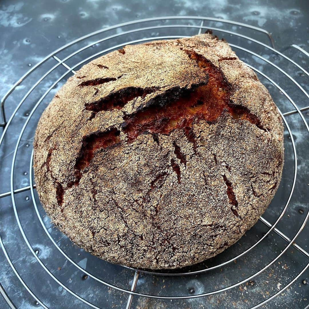 ナイジェラ・ローソンさんのインスタグラム写真 - (ナイジェラ・ローソンInstagram)「I’m finding baking bread very comforting right now. This is a rye loaf (made with half dark rye flour, and half strong white bread flour) using @jimlaheyssb’s wonderful no knead bread recipe.  The recipe for the white bread version, and a blue print for you to follow is on link in profile. I just hope you can find flour and yeast.. By link in profile, I mean this:  tap on my name, which will take you to a page that has a link on it that says www.nigella.com/instagram. When you click on this link, it will take you to a page of photographs: click on the picture of the recipe in question!」3月19日 19時43分 - nigellalawson