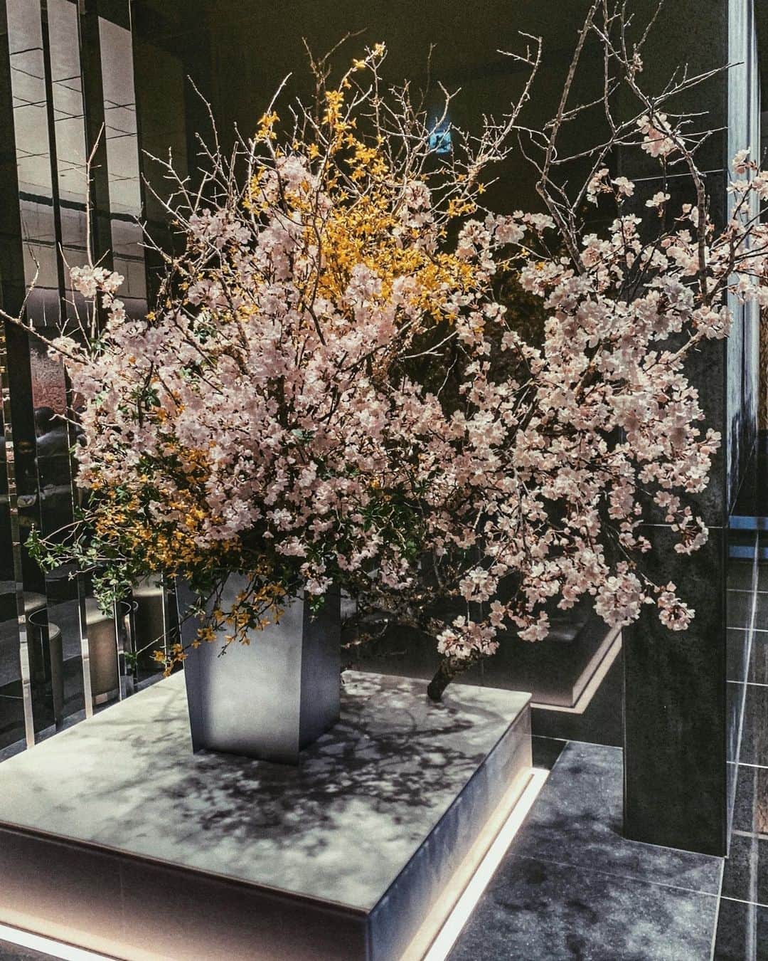 のインスタグラム：「湯河原のエクシブにて、桜が綺麗です🌸 久しぶりの温泉♨️ . #湯河原#エクシブ湯河原離宮#国内旅行#桜」