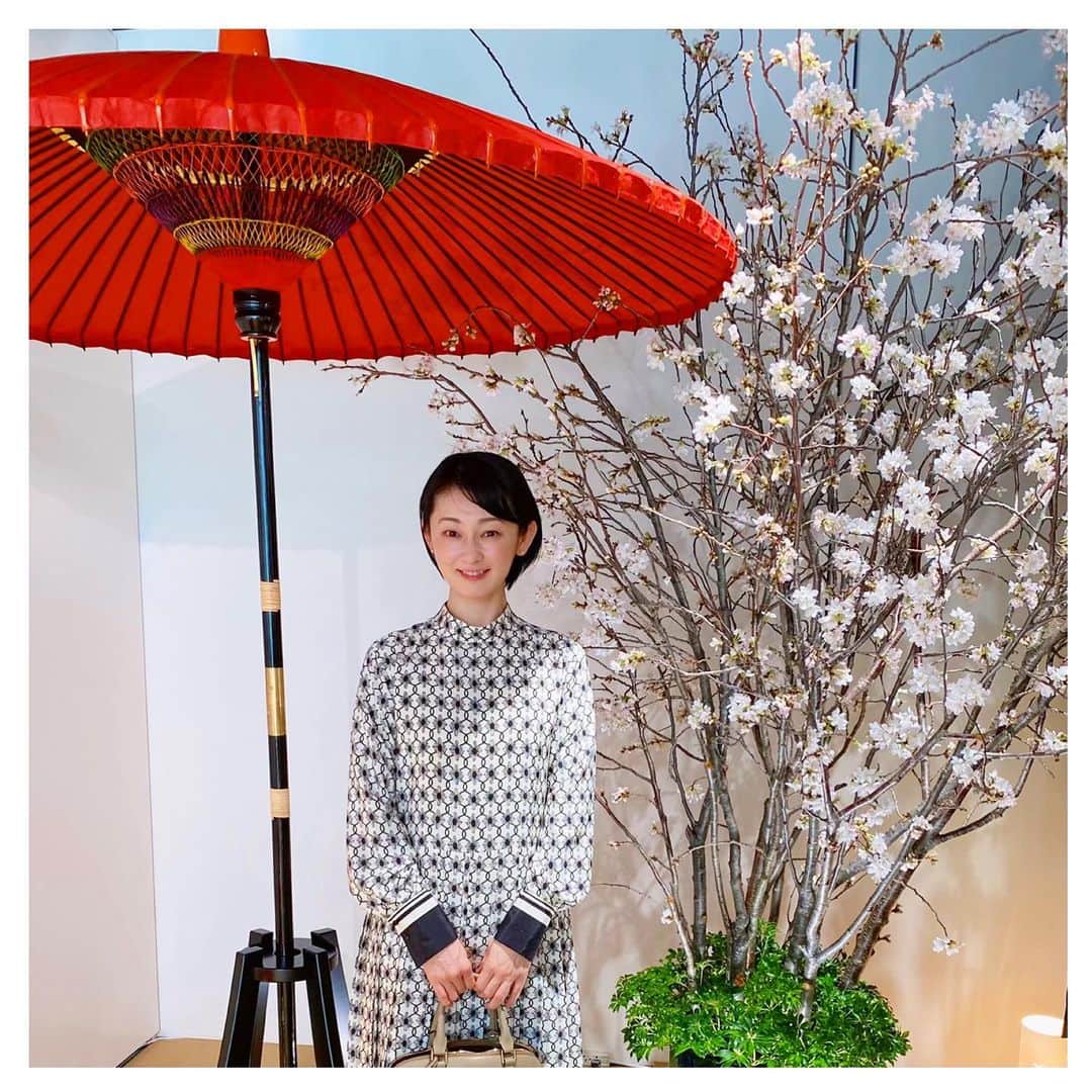 風花舞さんのインスタグラム写真 - (風花舞Instagram)「「Cherry Blossom Week 2020」 ミキモト銀座4丁目本店。  #銀座#ミキモト#桜#真珠」3月19日 20時09分 - kazahanamai_official