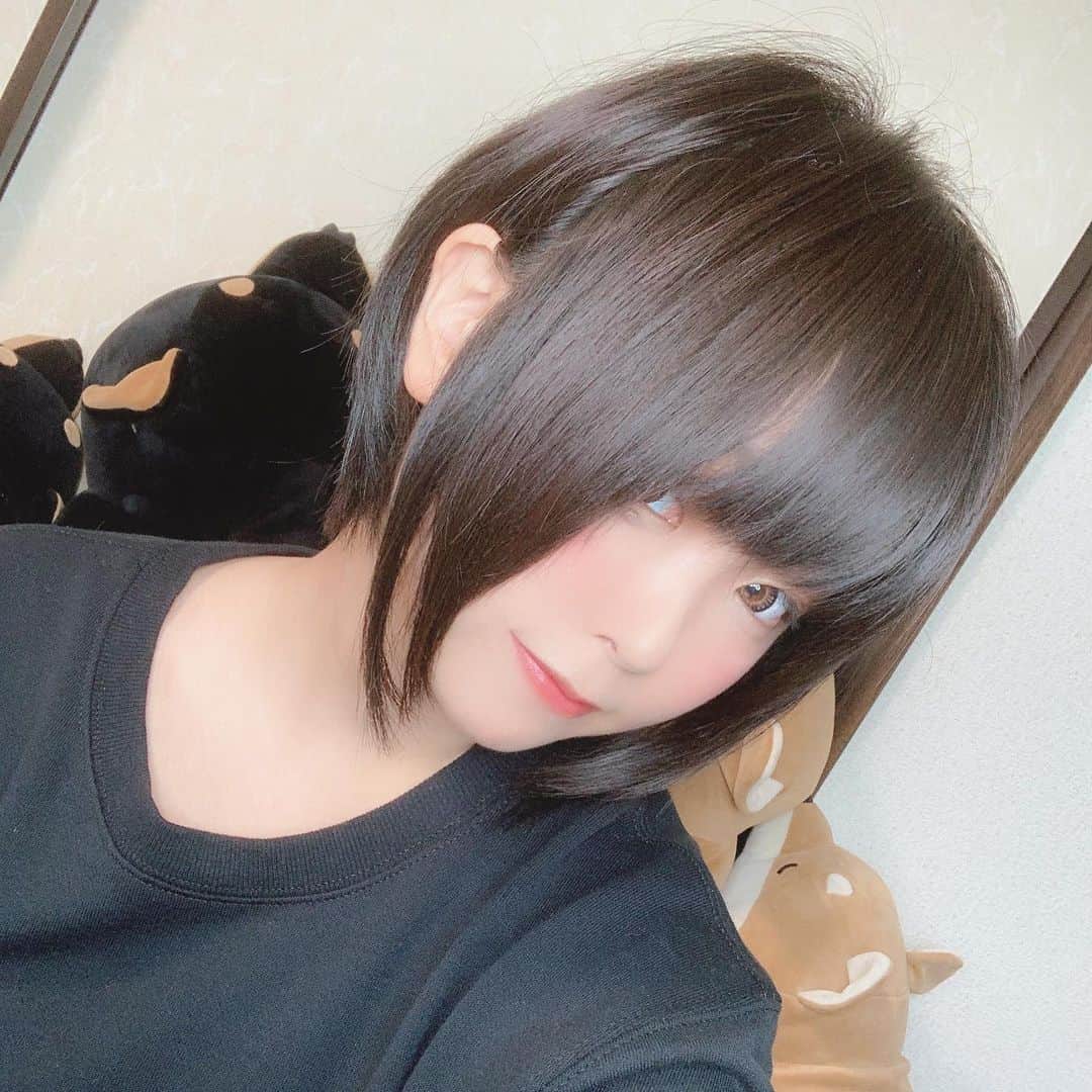 くろねこさんのインスタグラム写真 - (くろねこInstagram)「髪切ったよ✨ #自撮り #自撮り女子 #selfie #japanese #japanesegirl #黒髪 #黒髪ショート」3月19日 20時14分 - kuronekoshi_nya