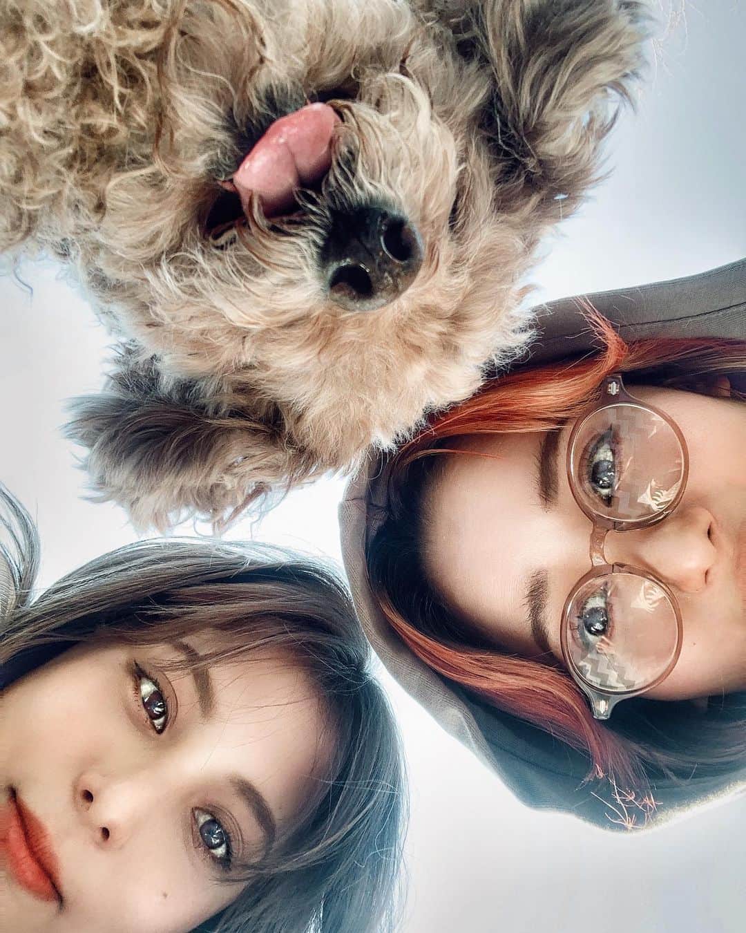 のインスタグラム：「﻿ ミンちゃんとユリア🧝‍♀️🧡﻿ ミンチャンほぼ人間🧚‍♀️🐕﻿ 思わずミンチャンタグ付けしようとしてもうた🏷﻿ ﻿ ﻿ ➡︎この伊達メガネは﻿ @tomi_glasses ﻿ ユニセックスで﻿ クオリティーが高いアイウェアが安価で購入できるよ〜♡﻿ ﻿ ﻿ ﻿ ⬇︎クーポンコードもらったよ♡⬇︎﻿ 3-tomiというクーポンコードにて10%OFF﻿ 3月31日まで送料が無料キャンペーン﻿ 先着10名様のみレンズ交換が無料﻿ ﻿ ﻿ ﻿ ﻿ #サングラス #sunglas﻿ #伊達メガネ #fashion #pr﻿ #influencer #インフルエンサー #instagramer﻿ #outfit #犬 #犬人間 #friends #犬と友達﻿ #トイプードル 風のトイプードル #熊 #くま #bear」