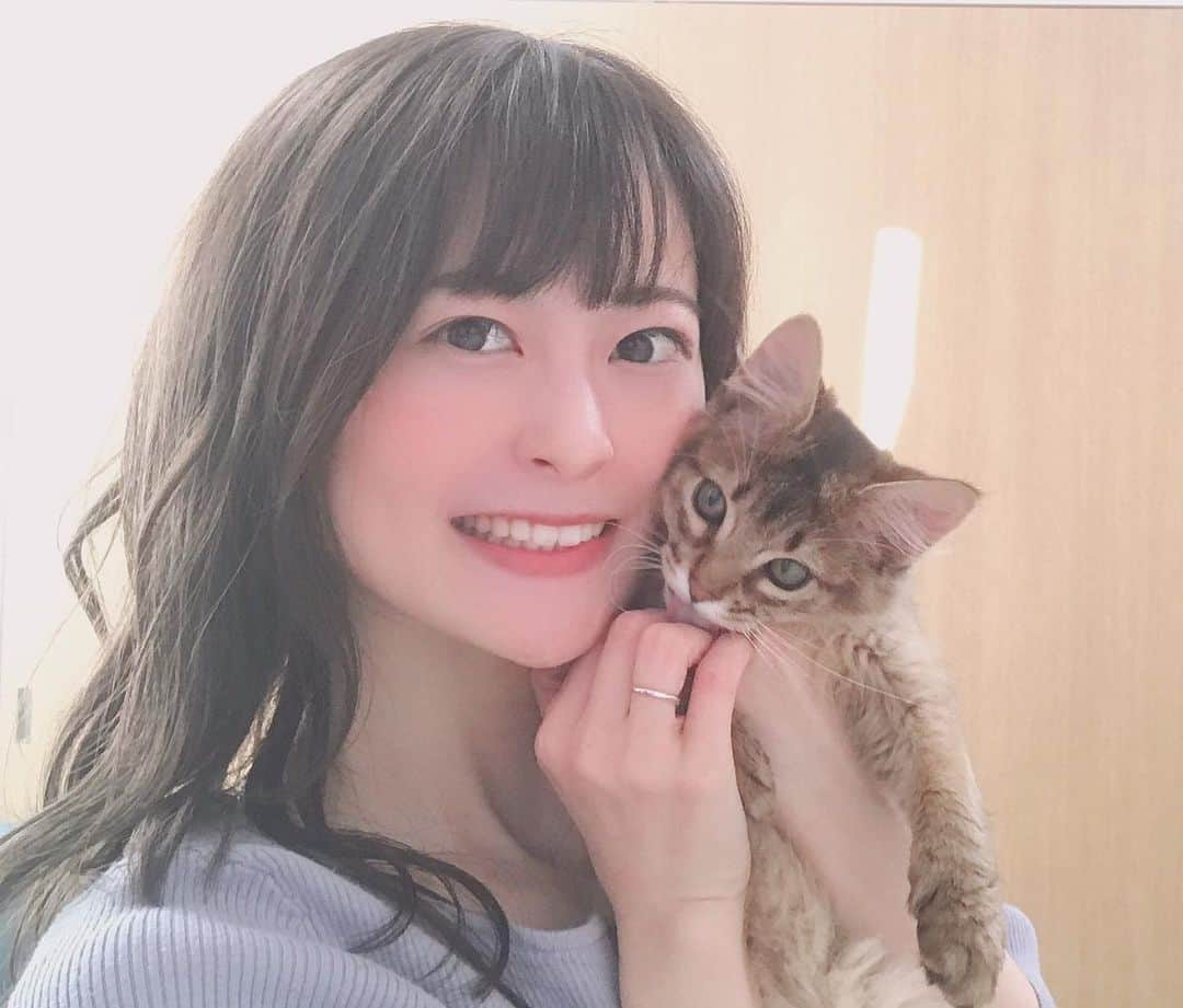 怜花のインスタグラム：「舐めてくれてるときとれた🐈💓」