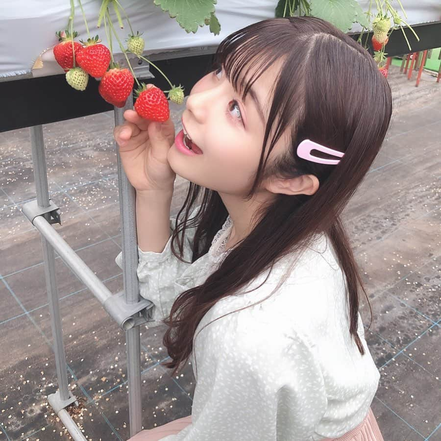 清司麗菜さんのインスタグラム写真 - (清司麗菜Instagram)「#いちご狩り #🍓」3月19日 20時56分 - seiji_0007