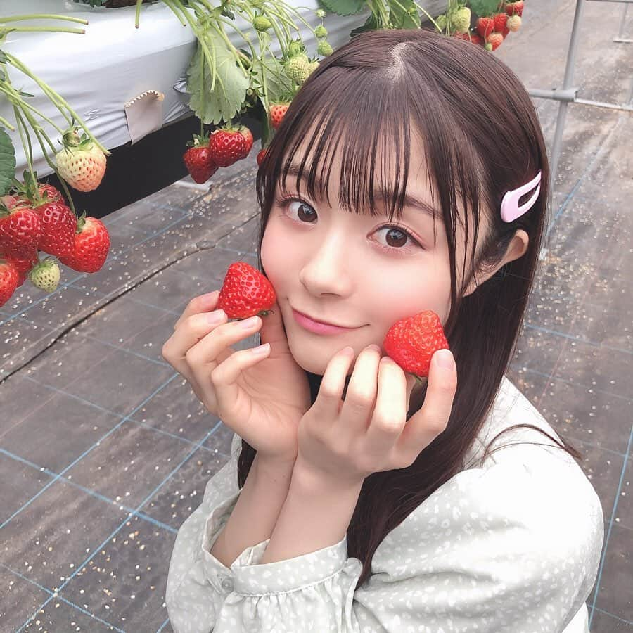 清司麗菜さんのインスタグラム写真 - (清司麗菜Instagram)「#いちご狩り #🍓」3月19日 20時56分 - seiji_0007