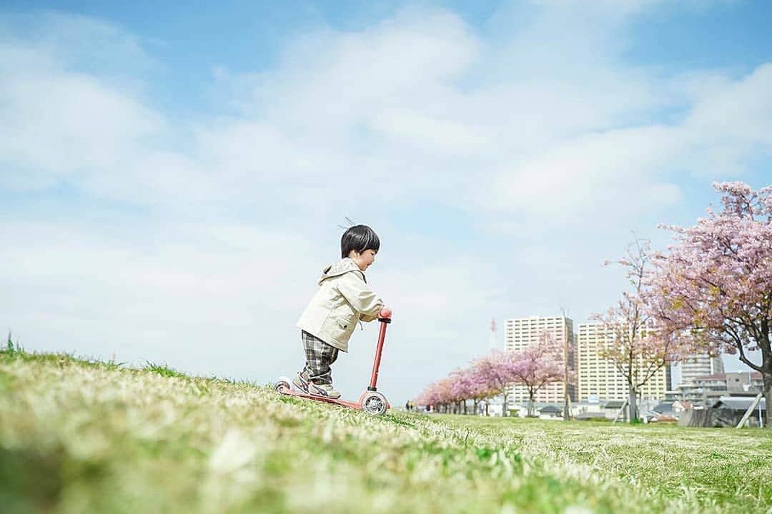 microscooters_japanさんのインスタグラム写真 - (microscooters_japanInstagram)「🌸🛴🧒Lovely💕 #regram @yzk902  市川駅の近くの河川に 桜並木があるってことで行ってみたんだけど 葉桜なりかけてたよ🤣 . それでも急に晴れだした空と だいぶ青くなってきた芝が綺麗で 楽しく撮れたし楽しく滑ってました← . @microscooters_japan は今第7期アンバサダー 募集しているよーん＼(^o^)／ 明日までだから興味ある人は是非応募してみて♡ 持ってる人で集まって 写真と動画撮りたいなぁ✨✨ . . . . . . . #microscooter #マイクロスクーターアンバサダー  #青空　#河津桜　#河川敷　#関東ママ #写真好きな人と繋がりたい #コズレ #art_of_japan_  #jp_mood #japan_of_insta  #daily_photo_jpn  #kids_japan #子供のいる生活 #ママカメラ部  #ig_baby #コドモノ #mamanokoカメラ部 #アソビュー #ママリ #キズナ #ikumama #子育てぐらむ #親バカ部 #ファインダー越しの私の世界 #その瞬間に物語を　#子供とお出かけ部 - #regrann」3月19日 21時38分 - microscooters_japan