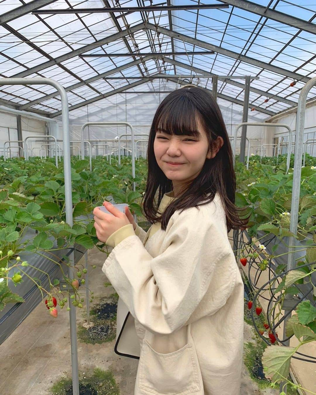 平塚日菜さんのインスタグラム写真 - (平塚日菜Instagram)「この間 🍓を狩ってきたよー！❤︎ 親友と、ひたすら30分間食べ続け。。。 色んな種類を食べ比べたけれど、「あきひめ」が好きでした🍓❤︎ #はじめての #いちご狩り #千葉へ #行ってきました #美味しかった❤️」3月19日 21時42分 - hiratsukahina