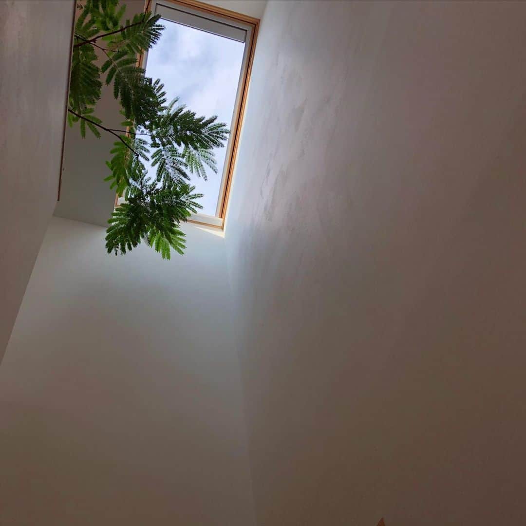 アイトフース | 北欧住宅｜注文住宅｜広島・岡山・山口さんのインスタグラム写真 - (アイトフース | 北欧住宅｜注文住宅｜広島・岡山・山口Instagram)「本日こころモデルハウスお引渡しをさせていただきました。10年以上前からアイトフースの家を気に入って下さって本日に至りました。この家にピタリとハマっているご家族の暮らしの変化が楽しみです！ ・ ・ #Anniversary25th #アイトフースライフ #アイトリブ #住まいづくり #家事労働時間が1/2以下になる住まい #注文住宅 #広島の注文住宅 #サスティナブル #木と漆喰  #天窓　 #焼杉 #velux #高性能住宅 #サスティナブル」3月19日 22時06分 - aitohus