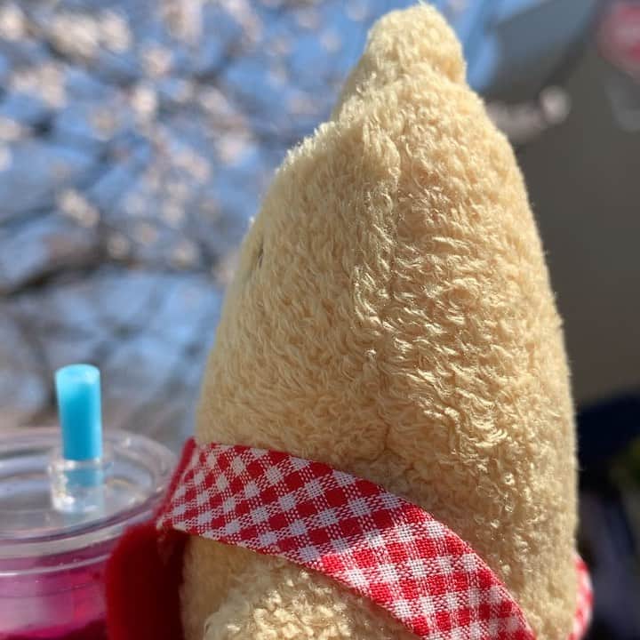 江口ともみのインスタグラム
