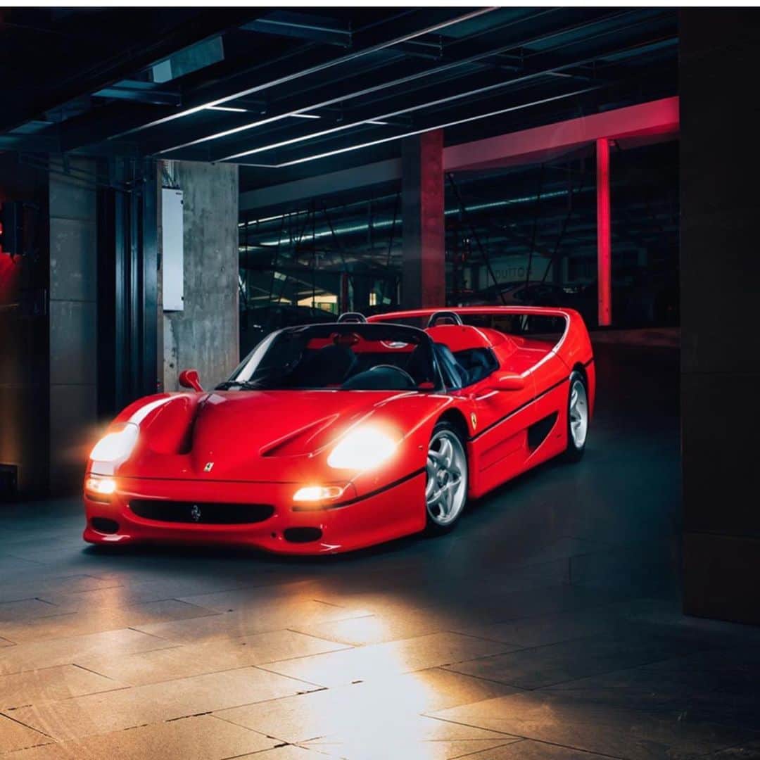 CarsWithoutLimitsさんのインスタグラム写真 - (CarsWithoutLimitsInstagram)「What would you take as the ultimate car? F50 or Enzo? 🍎 Owner @duttongarage  #carswithoutlimits #ferrari #f50 #enzo」3月19日 22時33分 - carswithoutlimits