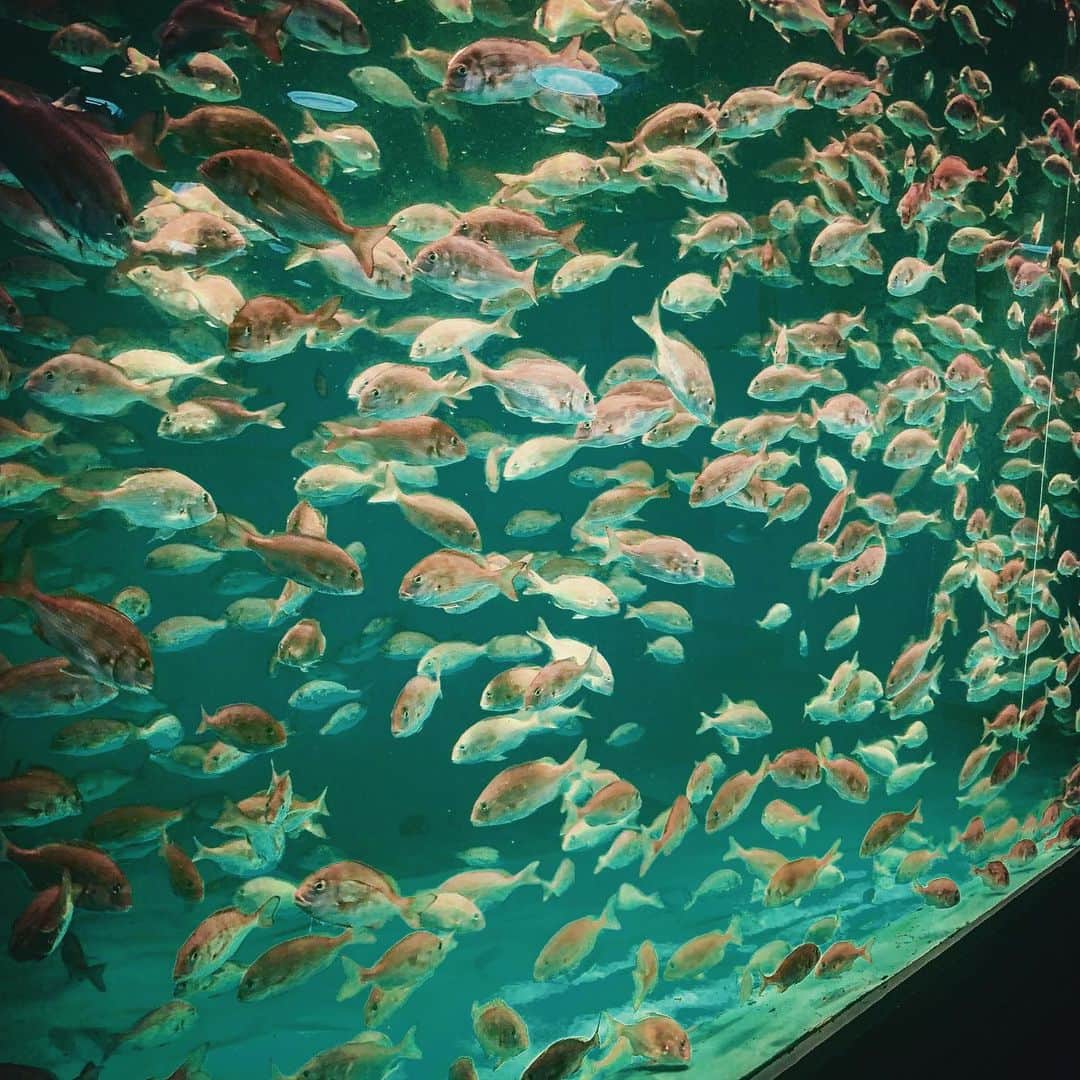 マサ北宮のインスタグラム