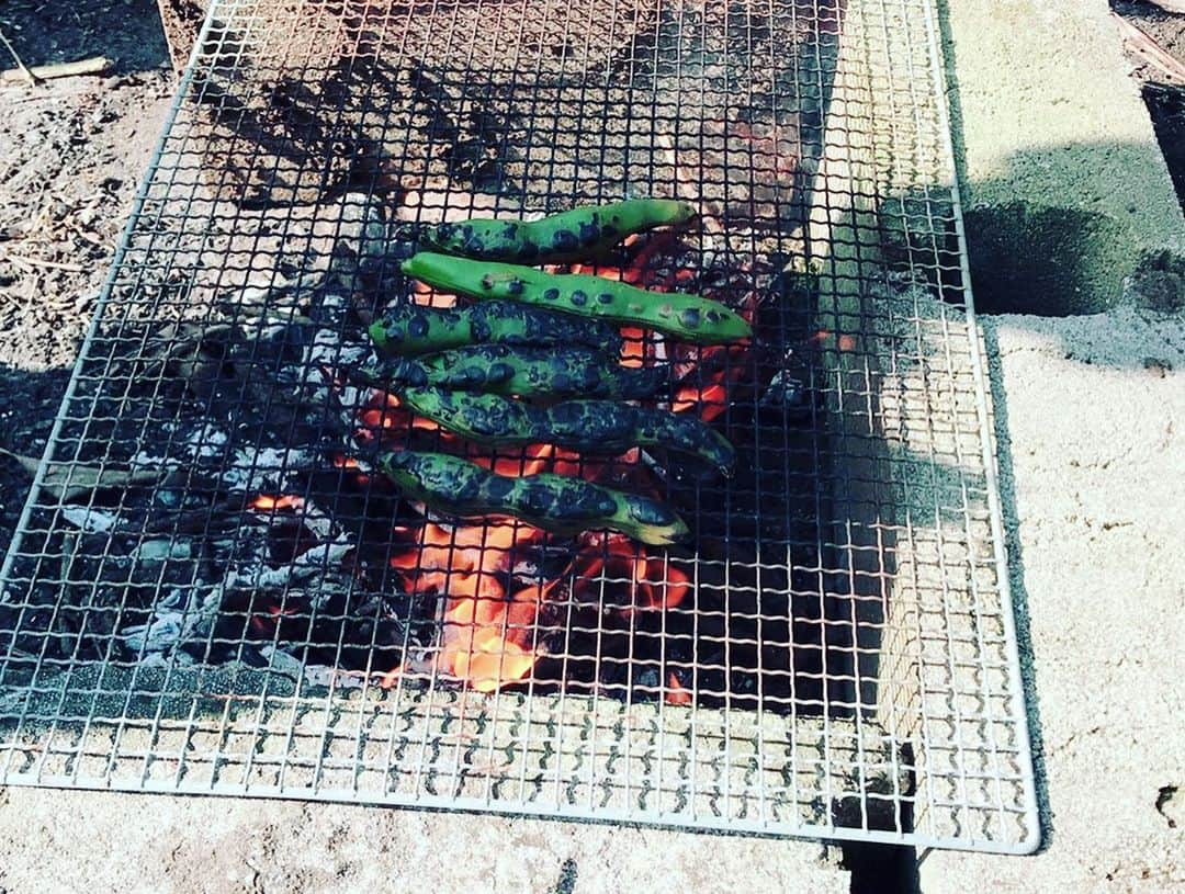 松井大輔さんのインスタグラム写真 - (松井大輔Instagram)「BBQ 。大根デカかった  #kagoshima #ダイコン #bbq  #鹿児島 #畑 #自然 #田舎 #田舎暮らし  #キャンプ #流行ってるみたい #行きたいね #style」3月19日 23時05分 - matsuidaisuke_official