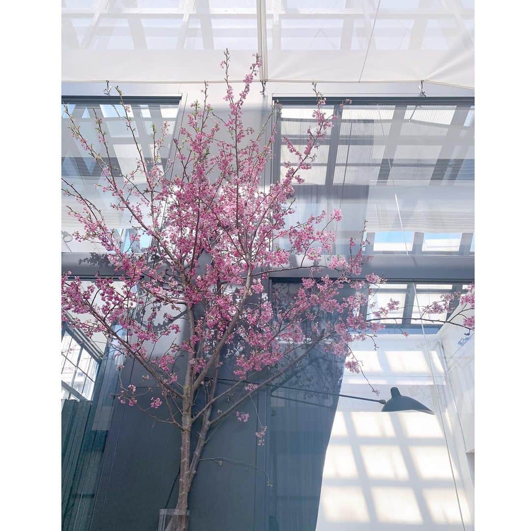 佐川理佳のインスタグラム：「こんな状況だけど毎日撮影が出来てることに感謝です🙏🏻 スタジオがきれい🌸」