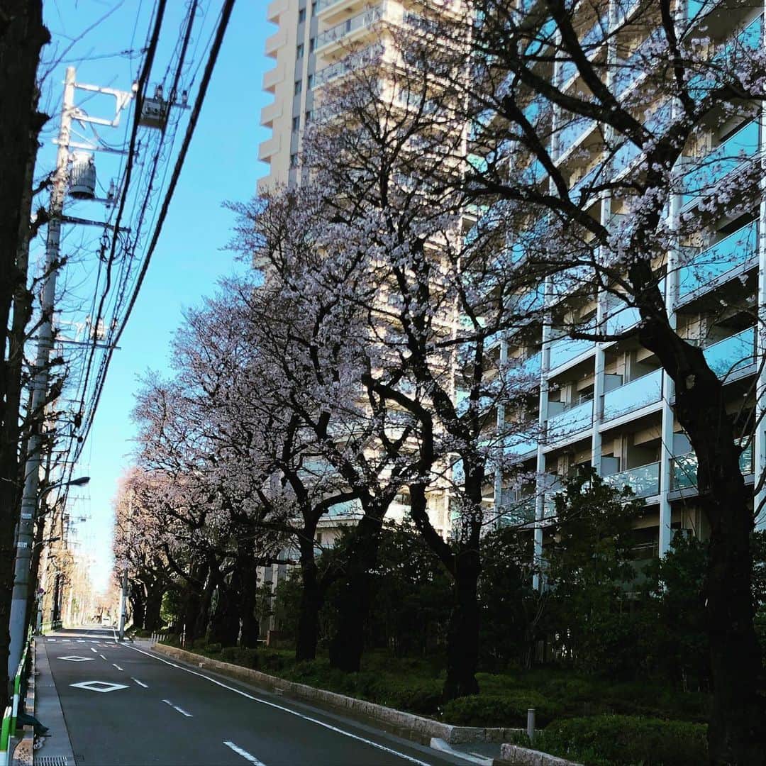 五箇公貴のインスタグラム：「願掛け2」