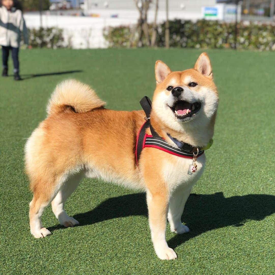 せんべえのグルメインスタ