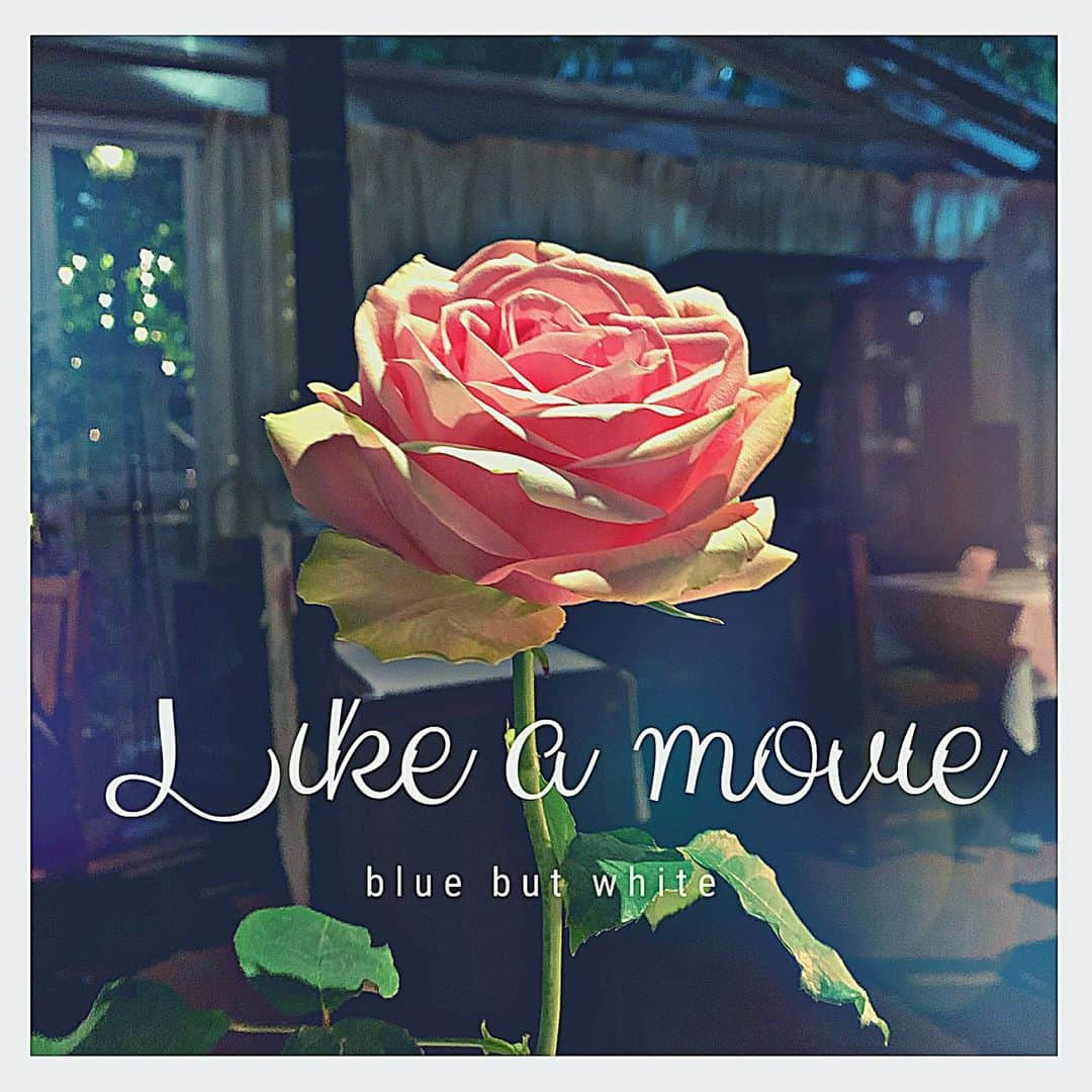 沢井美空さんのインスタグラム写真 - (沢井美空Instagram)「【New Release】﻿ ﻿ blue but whiteの新曲『Like a movie』本日配信リリースです。﻿ ﻿ https://linkco.re/Gh7Ep6dA﻿ ﻿ 今日、3/20に行う予定だったワンマンライブに向けて準備していた楽曲です。﻿ ﻿ みんなでクラップをしたり、掛け声を言い合ったりして楽しめそうで、9/5(土)の振替公演が今から楽しみです。﻿ ﻿ 是非たくさん聴いてください！﻿ ﻿ ﻿ #ブルバ﻿ #吉井香奈恵﻿ #沢井美空」3月20日 1時45分 - mikusawai