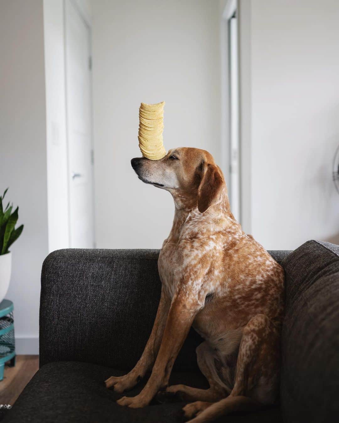 マディのインスタグラム：「Day 3: snacks became challenges 🥔」