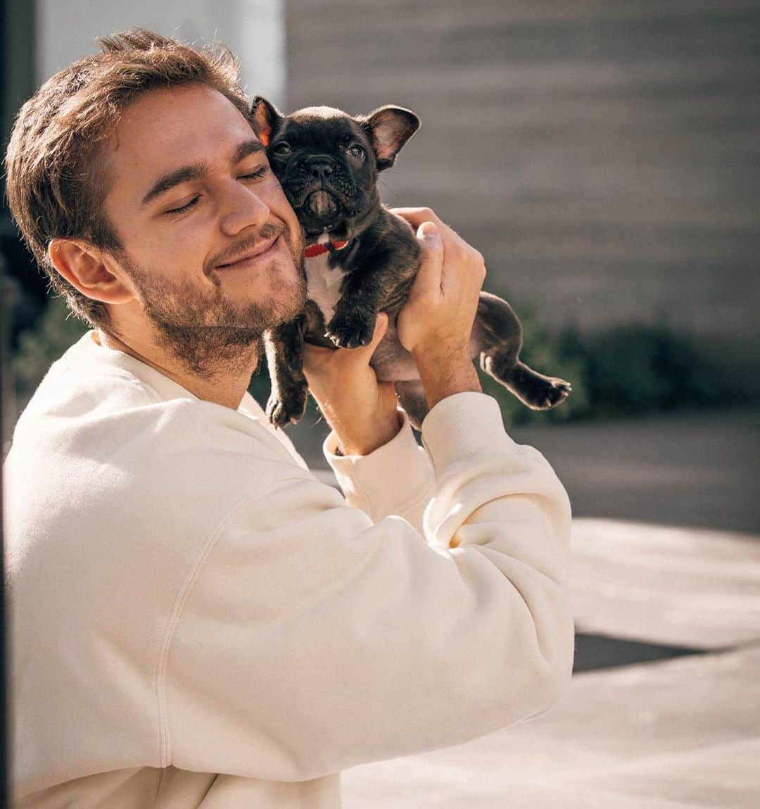 ゼッドのインスタグラム：「Fostering this little angel from @thelabellefoundation ... makes isolation a lot better :) 🤍」
