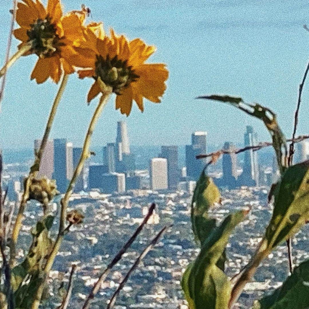 ペイトン・リストのインスタグラム：「sending love to all of our health care workers/doctors/nurses/people stepping up to help support others/and everyone staying inside during this time.  I’m so inspired by everyone coming together (not physically), but in emotional support of one another. Sharing what we can. When things seem their darkest humanity really does surprise us. 🌻」