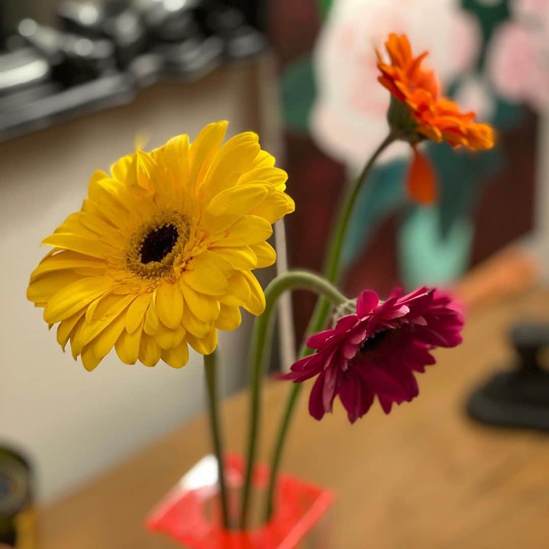 のインスタグラム：「苦しい時こそ時こそ花を。花はいつも僕らを優しくしてくれる。花屋で枯れるだけを待つなら、その全てを連れ帰ってあげたい。トイレットペーパーも大事だが、心に優しさをもたらすこの花びらの一つ一つも、僕らには欠かせない生きてるあかし。#flower #心に花をとは」