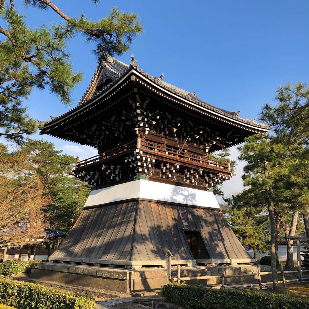 職人.comさんのインスタグラム写真 - (職人.comInstagram)「朝から京都を歩いております。見るところがたくさんある京都。本当に素晴らしい場所に住まわせていただいており感謝です。今日も職人.com三条ショールームはオープンしておりますのでぜひお越しくださいませ。 @shokunincom  #職人ドットコム #京都 #京都市 #手仕事 #暮らしの道具 #そうだ京都行こう #暮らしを楽しむ #京都旅行 #京都巡り #京都観光 #京都散策 #京都散歩 #モノづくり #ものづくり #工芸品 #民芸 #民藝 #民芸品 #手工芸 #豊かな食卓 #キッチングラム #手作りのある暮らし #器のある暮らし #焼物 #焼き物 #相国寺 #真如堂 #京都市京セラ美術館 #鴨川 #京都の桜」3月20日 10時45分 - shokunincom