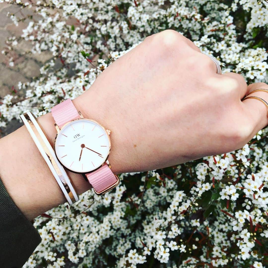 ナカイシミキさんのインスタグラム写真 - (ナカイシミキInstagram)「まさにサクラ色のPetite Rosewater🌸 ・ @danielwellington ・ 4/20までのフラワーシーズン限定💐 ・ 今ならサクラの限定ラッピング🛍 ＆公式WEBショップで数量限定のしおりをGET🔖 ・ ・  15%OFFクーポンコード 👉miki2020 （2020/5/30まで有効、DW公式直営店舗とWEBショップにて使用可能） ・ #ダニエルウェリント #timetoblossom #腕時計 #danielwellington #手元くら部 #桜 #cherryblossom #サクラ #ブレスレット #バングル #blacelet #bangle」3月20日 5時42分 - mikivicious