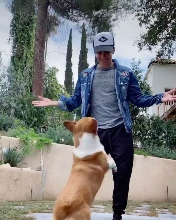 カイル・ハナガミのインスタグラム：「Quarantine Day 4.  Sorry, I had to one up you @derekhough @sir_twitch_alot.  #tiktok #dance #corgi #yesthatsasnowman」