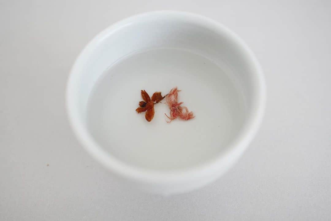 行方 久子 Hisako Namekataさんのインスタグラム写真 - (行方 久子 Hisako NamekataInstagram)「. 起きたらすぐお白湯を飲みます。  嘘です🙄 そんなに女子力高くないので、1番先に口に入れるものは日本茶だったりチョコレートやお煎餅だった欲望のままに😋  わたしにしては珍しい白磁の器は、 南山城村の陶芸家 清水善行さんのもの。  浮いているのは吉野の桜の塩漬け🌸」3月20日 8時38分 - hisakonamekata