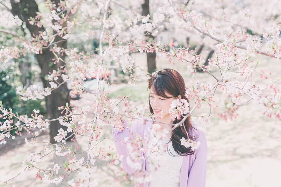 丸山裕理のインスタグラム：「. 満開待ちです . The cherry blossoms are almost in full bloom in Tokyo. Have a great weekend and stay safe. . #cherryblossom #artofjapan #japantravel #lovers_nippon #team_jp_portrait #daily_photo_jpn  #nipponpic #lovers_nippon_portrait  #japan_of_insta #discovertokyo  #jp_mood #jp_portrait部 #art_of_japan_ #tokyocameraclub #impression_shots #写真好きな人と繋がりたい #アナウンサー #東京カメラ部 #桜 #お花見 #桜並木」