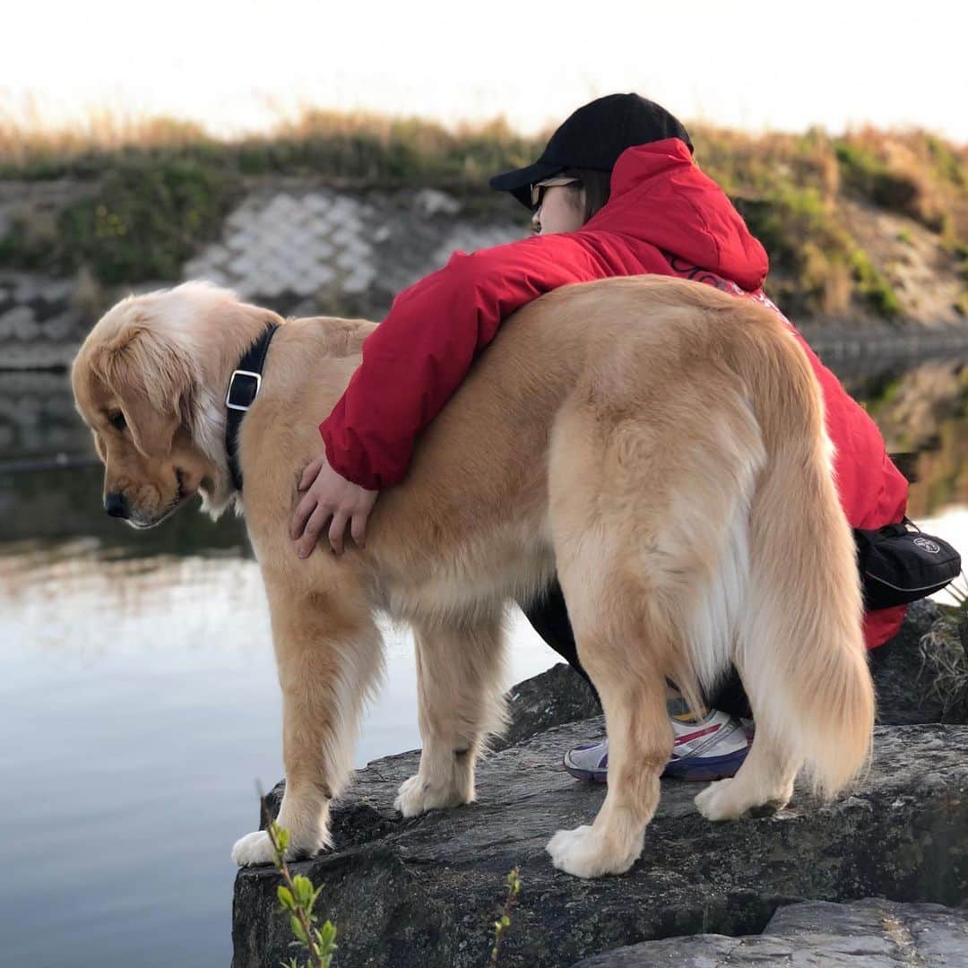 今田美奈さんのインスタグラム写真 今田美奈instagram 夕まずめの狙って釣りに行ったけどノーフィッシュ ベイくんが楽しそうだったのでよし 釣りガール バス釣り 魚釣り 釣り 釣り好きな人と繋がりたい ゴールデンレトリバー 釣り女子 Fishing