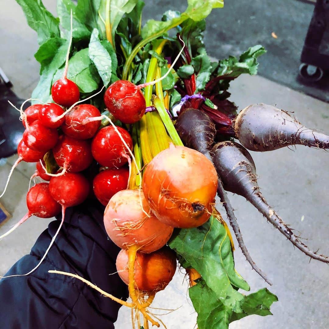 Nicole Mejiaのインスタグラム：「GROCERY LIST 📝🍎🥕🍋 Stocking up on long-lasting fruits and veggies: • apples • citrus fruits - been into clementines lately • lemons and limes • beets • carrots • celery • cabbage • potatoes • squash • ginger • onion • garlic • fresh and frozen spinach • bananas to freeze for shakes • avocados (because they’ll be eaten within days/hours anyways)  Refrigerated: • almond and oat milk • eggs • extra firm tofu • tempeh  Pantry items: • canned and dry beans • rice and quinoa • rolled oats • nut butter • pistachios • cashews • walnuts • shredded unsweetened coconut • pumpkin seeds • chia seeds • pasta • sauces • veggie broth/stock • avo and olive oil • balsamic, white wine, and rice vinegar • soy sauce  Misc/Snacks: • wine 🍷😁 • Off the eaten path chips • Sourdough pretzels • hummus • dark chocolate • canned olives (I could legit eat a whole jar of these😜🍸) What else is on your quarantine grocery list? @lulyapp」