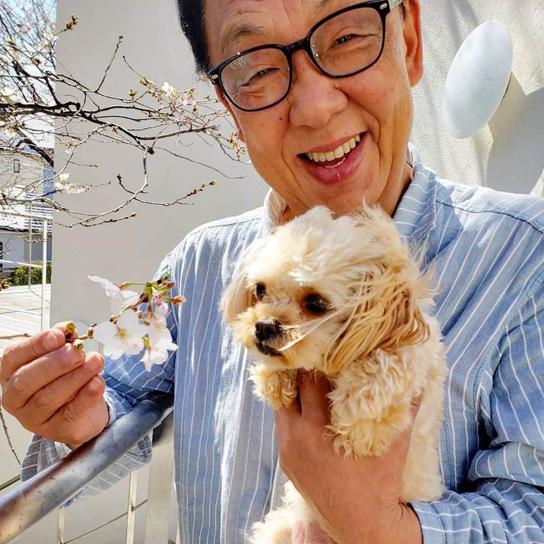 梅沢富美男さんのインスタグラム写真 - (梅沢富美男Instagram)「パジャマで失礼します。 今、夢子と自宅でお花見です。  こんな時期ですが、腐らず、慌てず、手洗いうがいに気をつけて、みんなで乗り切りましょう！」3月20日 11時08分 - tomioumezawa