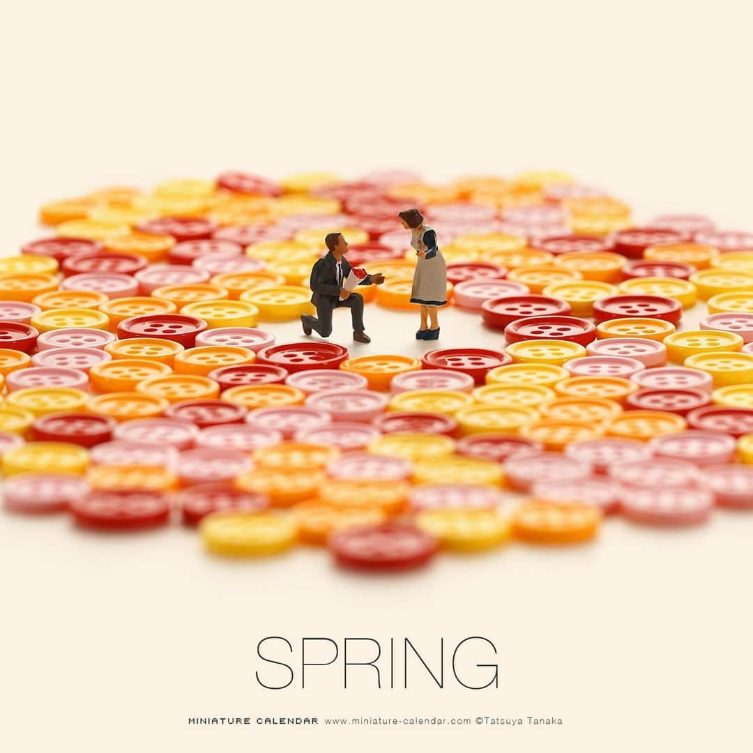 田中達也さんのインスタグラム写真 - (田中達也Instagram)「. Spring Selection🌸 . #春分の日 にちなんで春らしい作品を集めました。 .」3月20日 11時08分 - tanaka_tatsuya