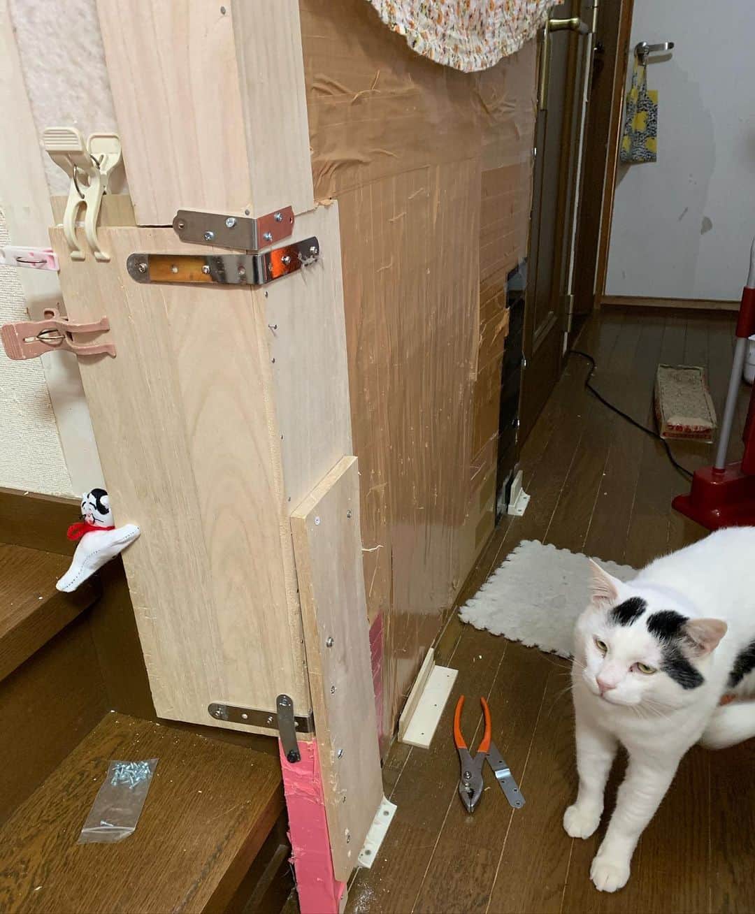 Kachimo Yoshimatsuさんのインスタグラム写真 - (Kachimo YoshimatsuInstagram)「ナナクロは引田天功のあとを継ぐつもりか奇跡のドアすり抜け術を使うので、なんとしても阻止するために、ドアを補強。これでもすり抜けるようなら、あんたの身体はスライムだよ！ #うちの猫ら #nanakuro #猫 #ねこ #cat #ネコ #catstagram #ネコ部 http://kachimo.exblog.jp」3月20日 11時45分 - kachimo