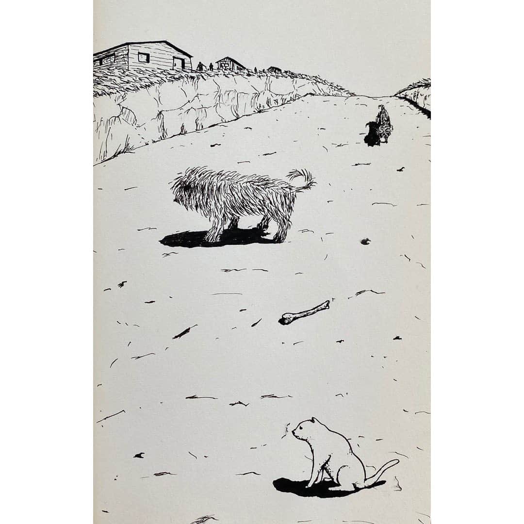 浅野忠信のインスタグラム