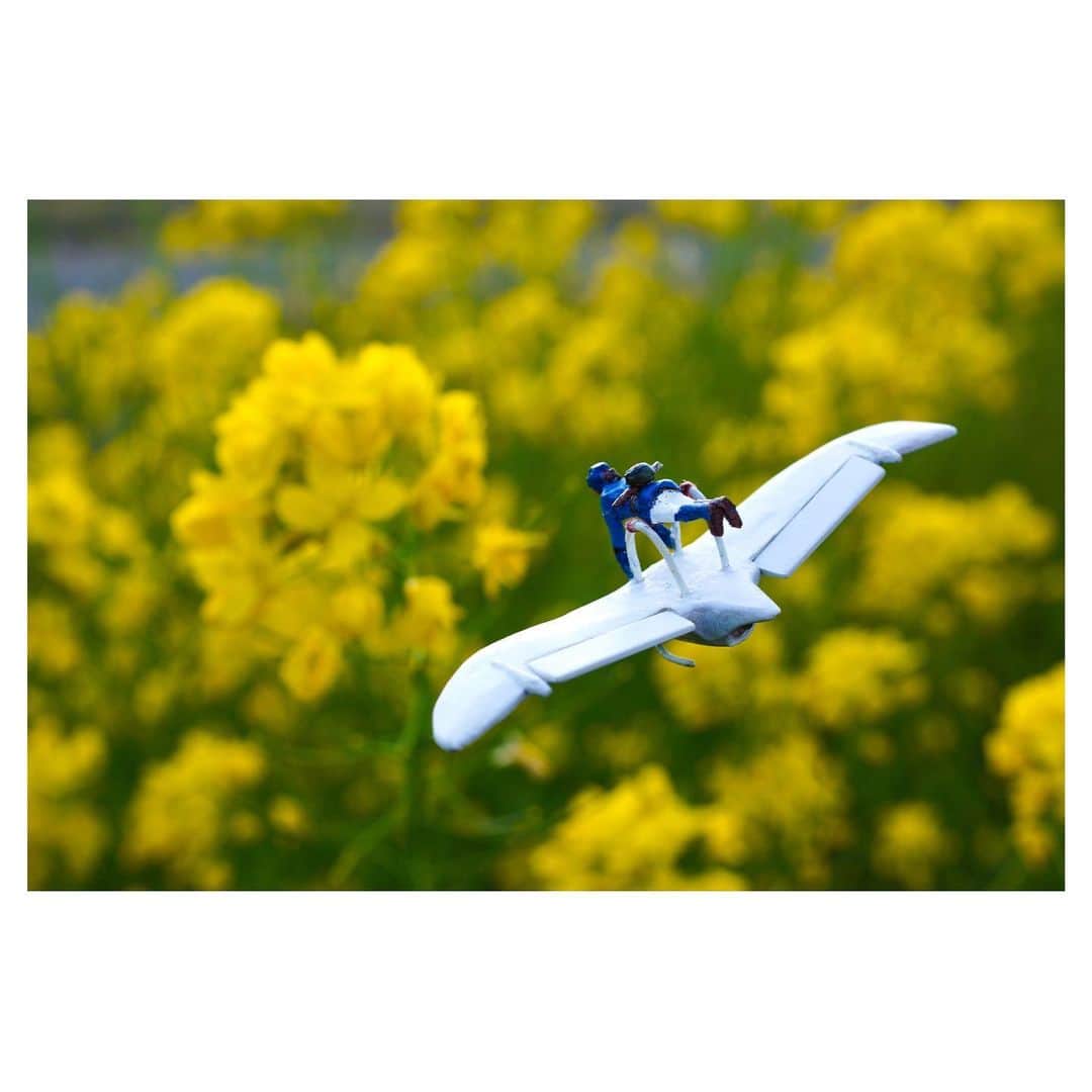 nqouのインスタグラム：「#風の谷のナウシカ #ナウシカ #nausicaa  #ジブリ #ghibli #ミニチュア #miniature #nqouminiature」