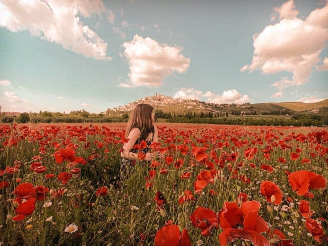 イタリア政府観光局 東京支局さんのインスタグラム写真 - (イタリア政府観光局 東京支局Instagram)「花の咲く頃に🌸 #トレヴィ #Trevi #ウンブリア #Umbria  #Treasureitaly #BellezzaADomicilio #italycomestoyou @italiait @umbriatourism  Special Thanks to 😘 @_annaluci_」3月20日 12時51分 - italia.jp