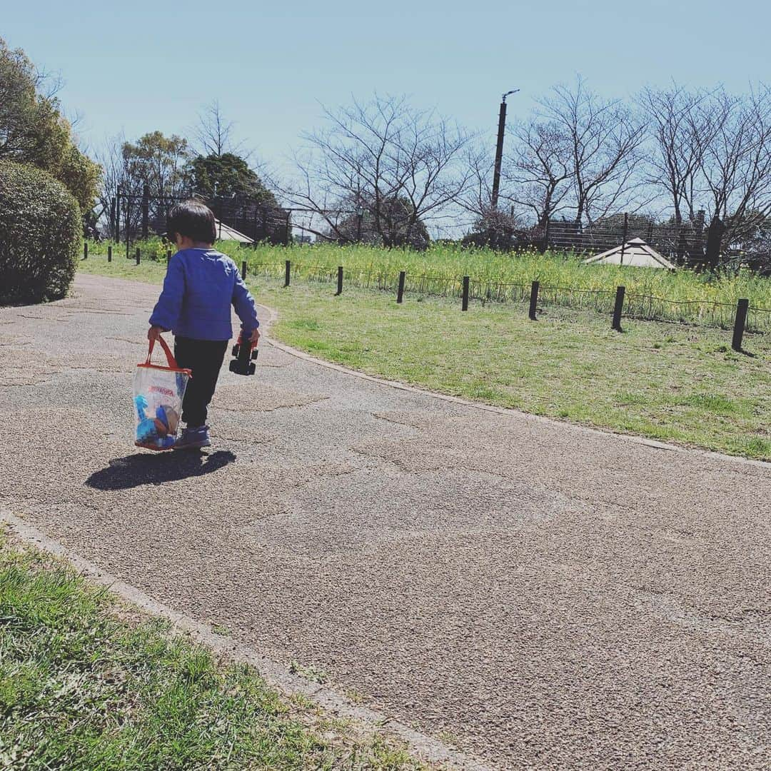 氷浦紫さんのインスタグラム写真 - (氷浦紫Instagram)「公園ですごく楽しそうに、お砂場セットをもって『おでかけぇ〜♫』って歩いて行って、知らないおじさんが居て焦って私のところに走って戻ろうとしたら派手にコケて、両手塞がっていたから手に怪我をしちゃって…久々にひっくり返ってる息子ちんを見て、まだまだ小さい子なんだなぁと思った。 凹んじゃって、もう帰るってベビーカーに乗った。  #2歳男の子#アンパンマンバンドエイド#アンパンマンありがとう#公園#春の公園#毎日のお散歩」3月20日 13時35分 - yukalihiula