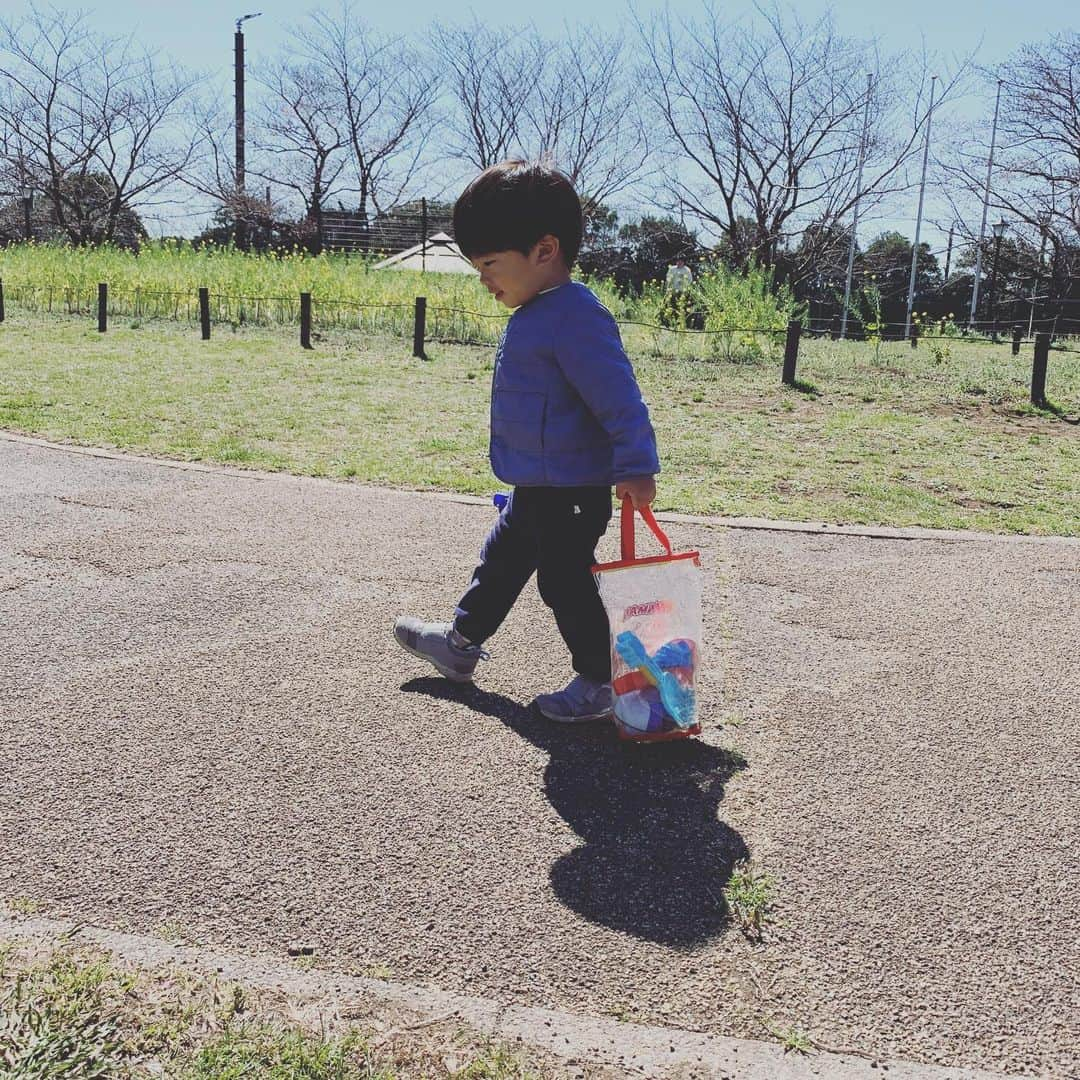 氷浦紫さんのインスタグラム写真 - (氷浦紫Instagram)「公園ですごく楽しそうに、お砂場セットをもって『おでかけぇ〜♫』って歩いて行って、知らないおじさんが居て焦って私のところに走って戻ろうとしたら派手にコケて、両手塞がっていたから手に怪我をしちゃって…久々にひっくり返ってる息子ちんを見て、まだまだ小さい子なんだなぁと思った。 凹んじゃって、もう帰るってベビーカーに乗った。  #2歳男の子#アンパンマンバンドエイド#アンパンマンありがとう#公園#春の公園#毎日のお散歩」3月20日 13時35分 - yukalihiula