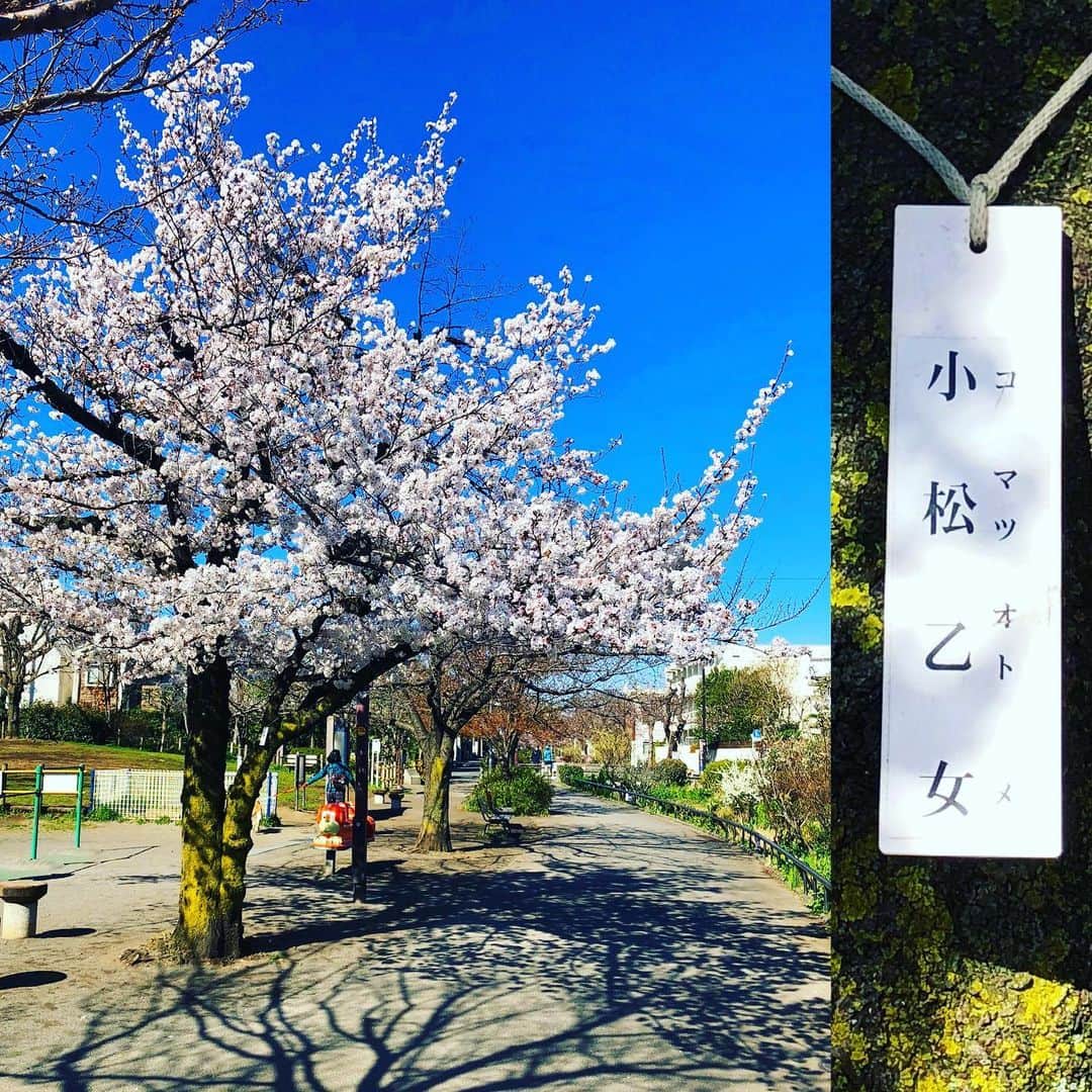 オカモト"MOBY"タクヤのグルメインスタ