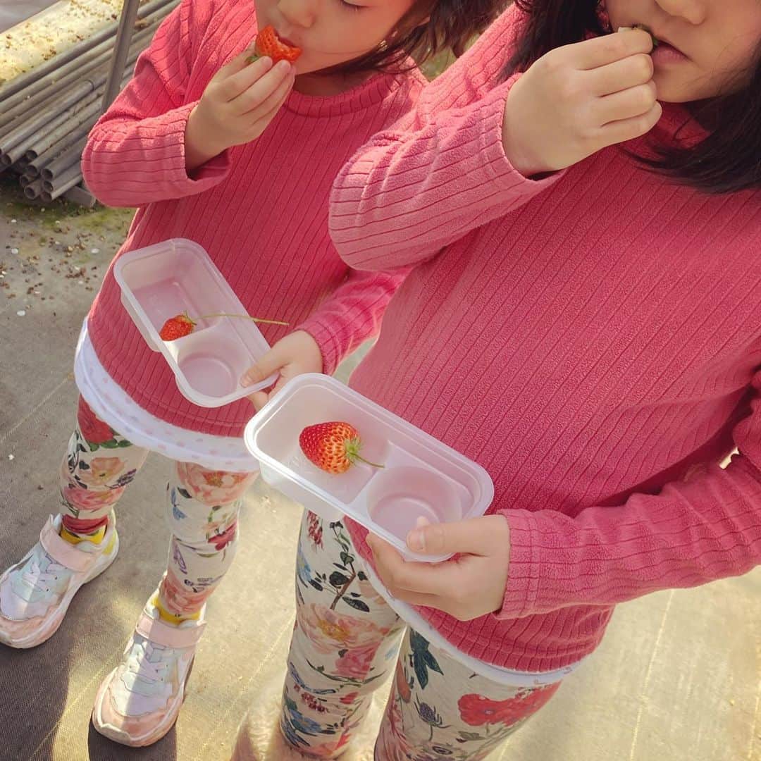 西山茉希さんのインスタグラム写真 - (西山茉希Instagram)「我々みたいに見えたイチゴ。 よくみえすぎかよ。  #親子 #🍓🍓🍓」3月20日 13時57分 - maki.nshiyama50