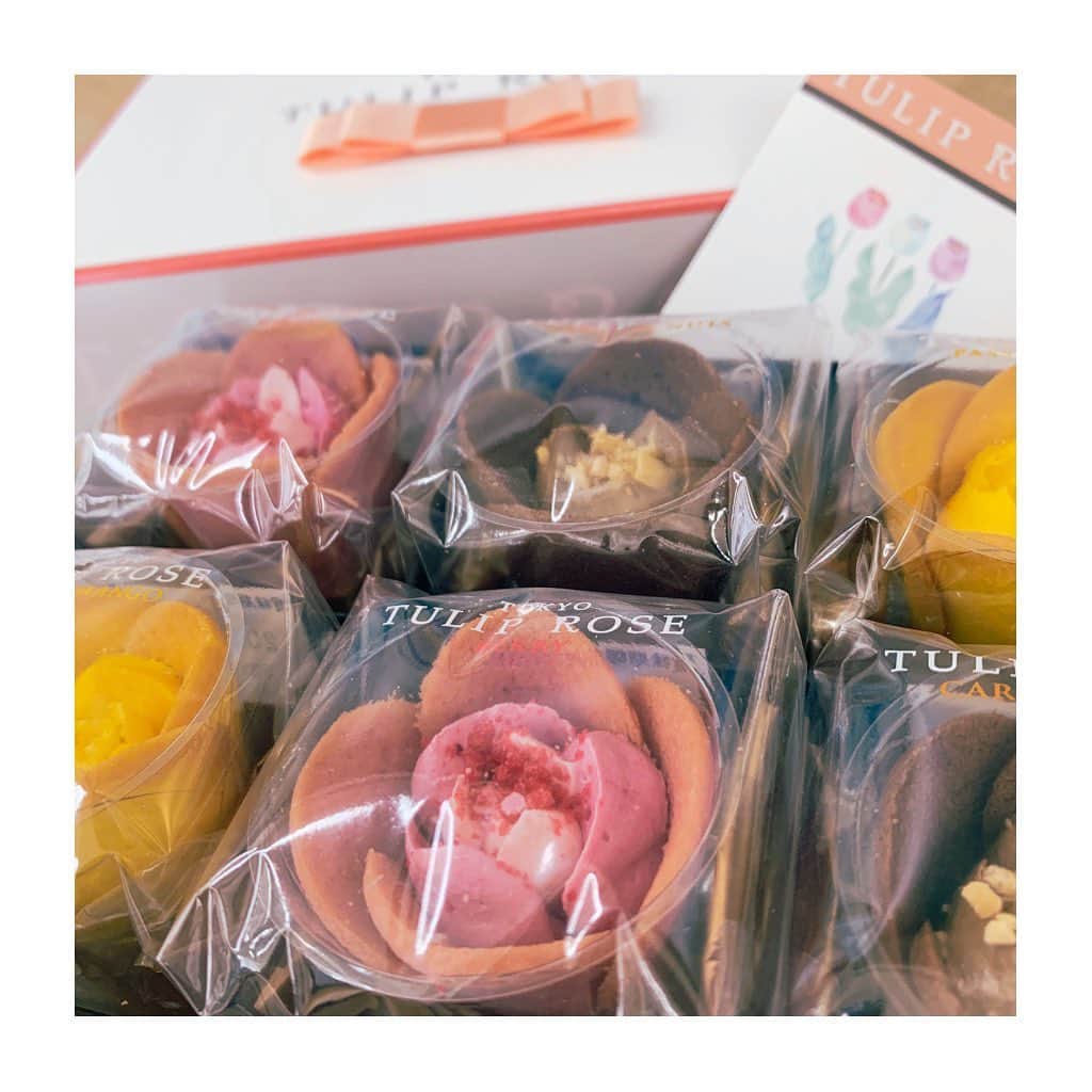 川嵜美佳のインスタグラム：「#tuliprose  #cute #love #sweet  #thanks #dear」