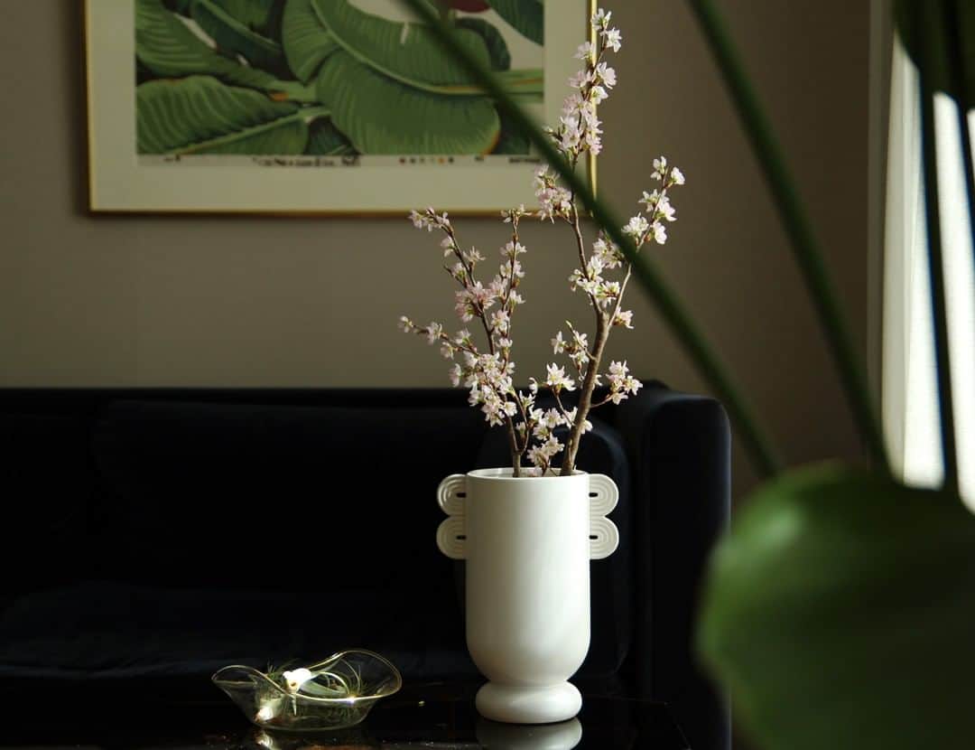 KOZLIFEさんのインスタグラム写真 - (KOZLIFEInstagram)「桜の開花が始まりましたね！ 我が家では、ひと足お先にお家の中でお花見を楽しんでいます🌸 視界に入るたびに癒される毎日😊良いですよ～✨ . -登場したアイテム- ferm LIVING/Muses フラワーベース　-Ania- . ◎商品はトップページのバナーorプロフィールのURLからどうぞ。 ▶︎ @kozlife_tokyo . #KOZLIFE #japan #instahome #instagood #instajapan #Interior #nordicinspiration #interiordesign #instadaily #instagood #fermliving #denmark #yesfermliving #ファームリビング #KOZフラワー #暮らし #北欧インテリア #北欧雑貨 #インテリア #フラワーベース #丁寧な暮らし #シンプルライフ #花のある暮らし #春 #桜 #お家で花見 #お花見 #開花」3月20日 14時00分 - kozlife_tokyo