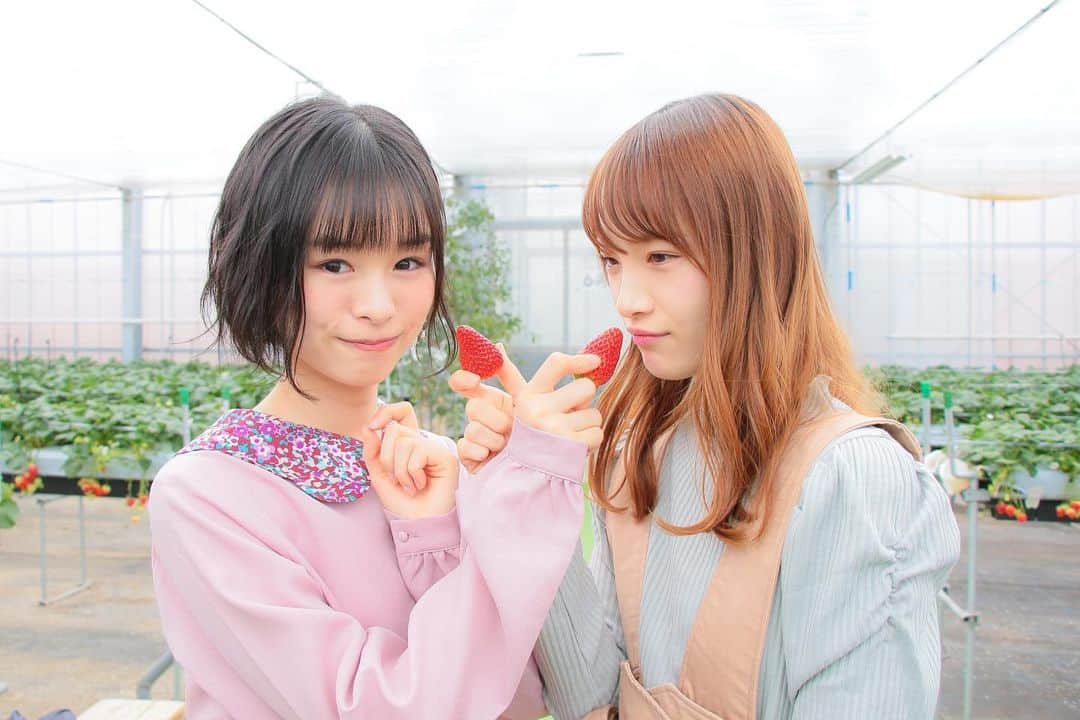 高倉萌香のインスタグラム：「あやかぴにいちごあげた🍓 . もえかぴとあやかぴ。」